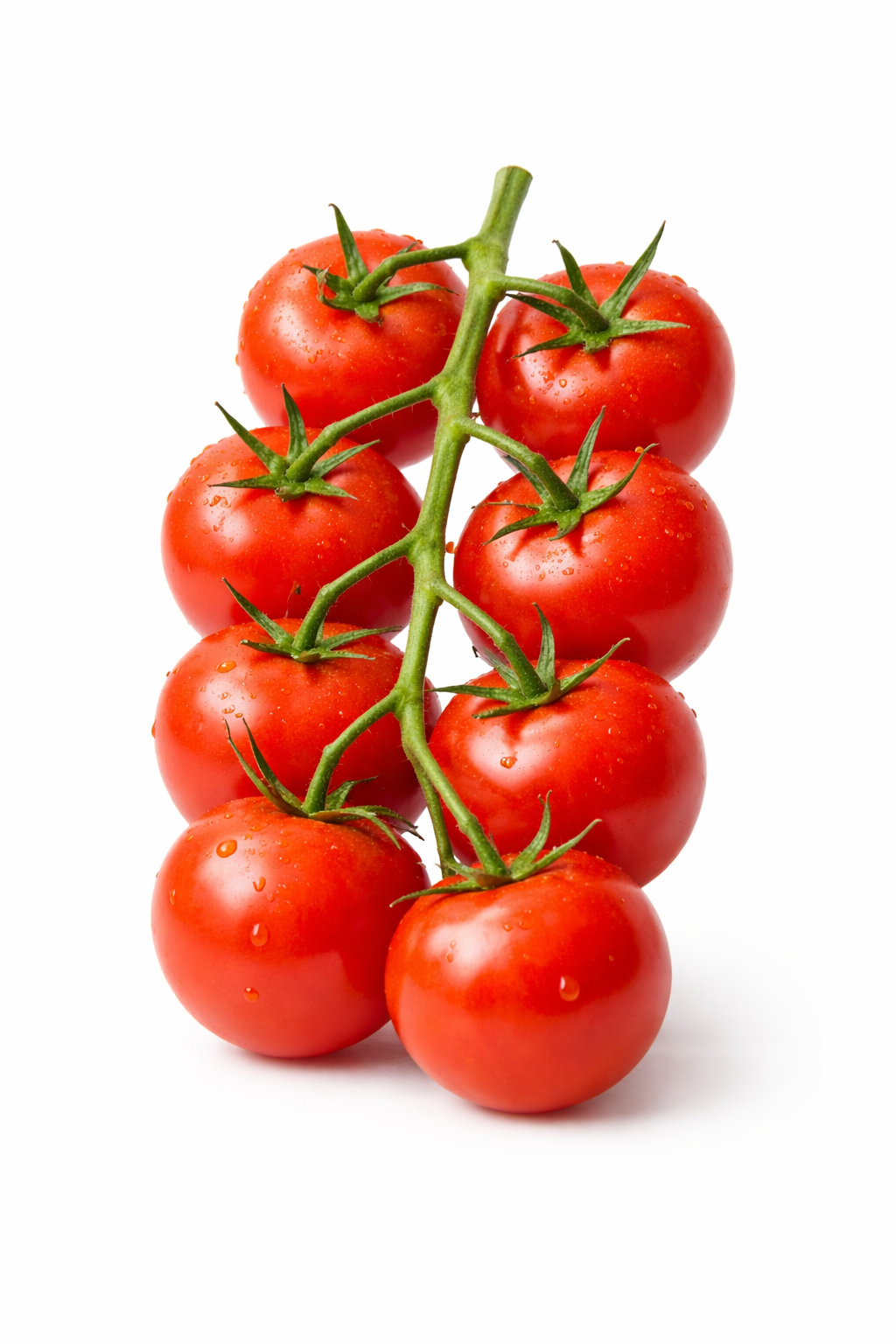taze salkım domates 1 kg Çanakkale günlük domates taze salkım domates 1 kg Çanakkale günlük domates